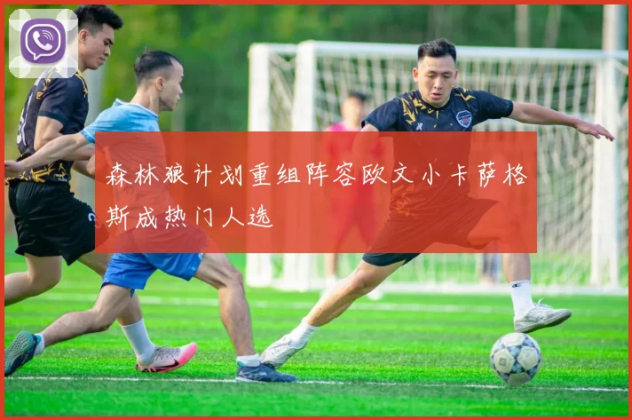 森林狼计划重组阵容欧文小卡萨格斯成热门人选